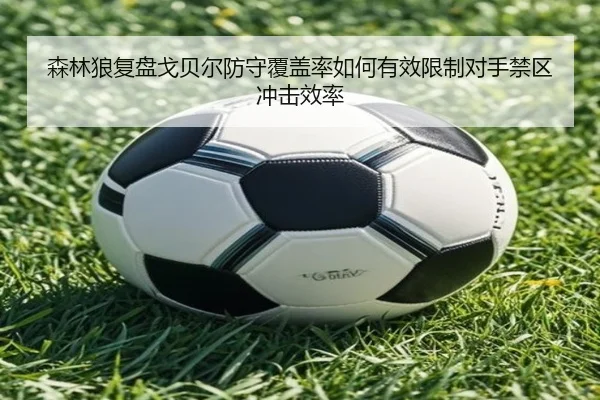 森林狼复盘戈贝尔防守覆盖率如何有效限制对手禁区冲击效率